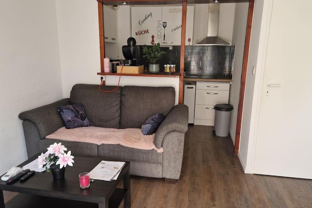 Joli T2 Vue Sur Le Jardin Proche De Toulouse Apartamento *