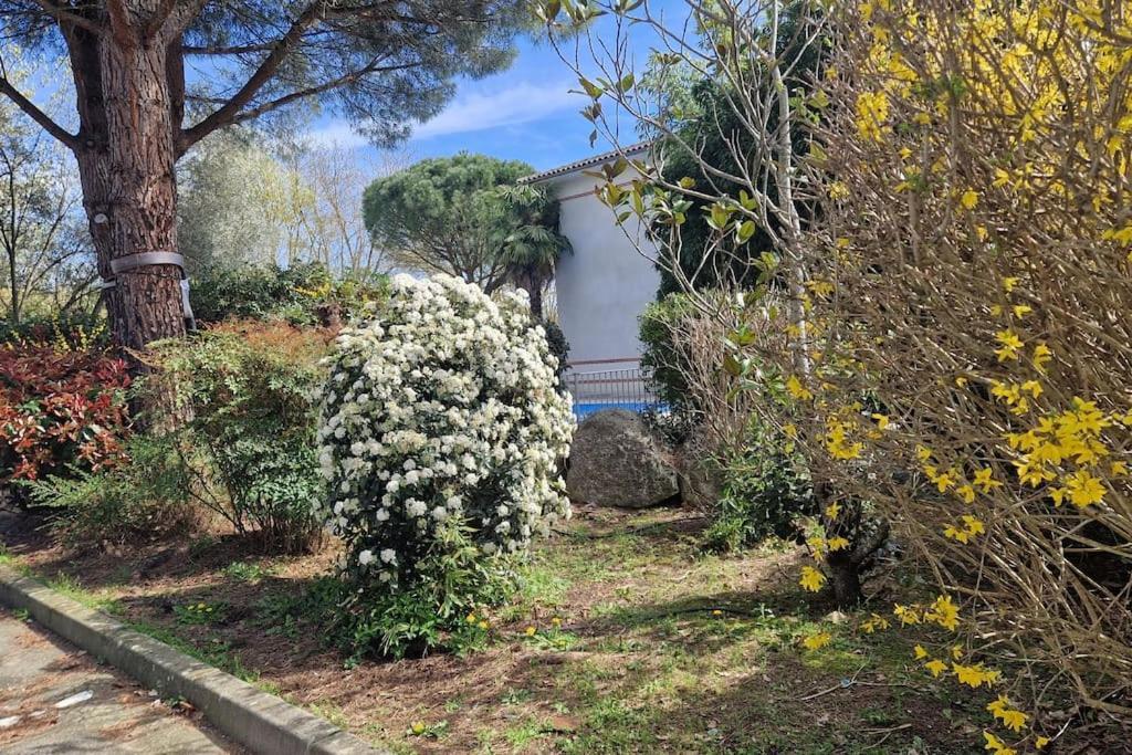 Joli T2 Vue Sur Le Jardin Proche De Toulouse