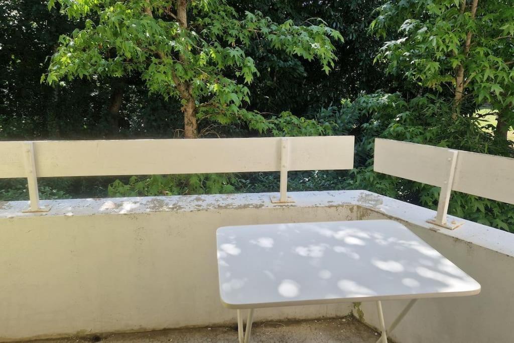 Joli T2 Vue Sur Le Jardin Proche De Toulouse *