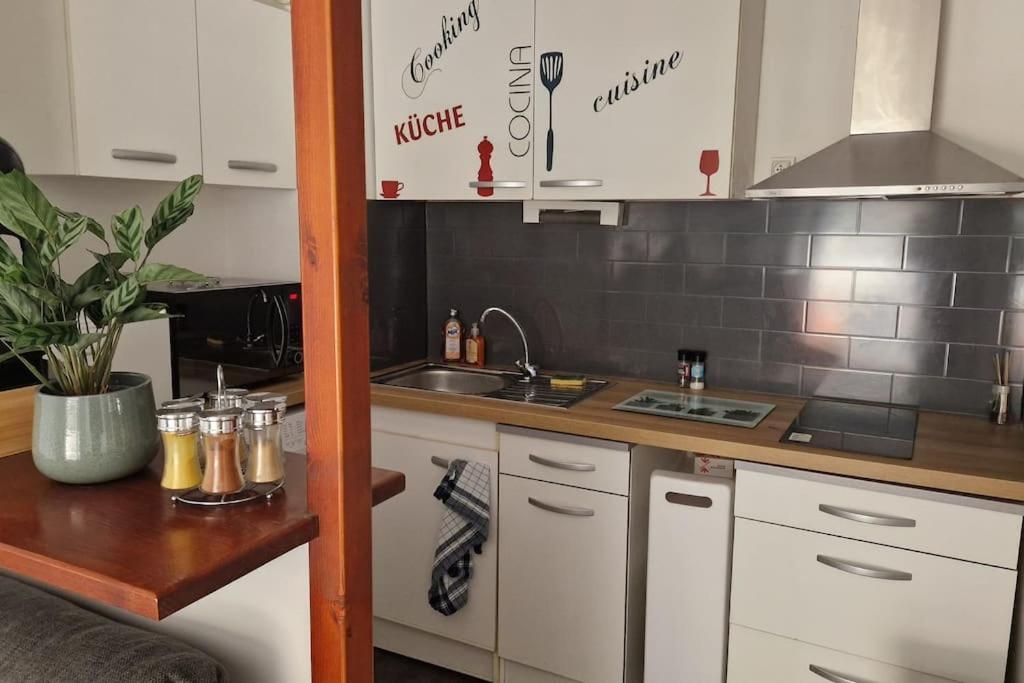 Joli T2 Vue Sur Le Jardin Proche De Toulouse Launaguet