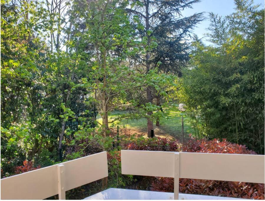 Joli T2 Vue Sur Le Jardin Proche De Toulouse Appartement *