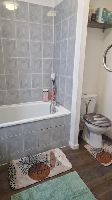 Apartamento Joli T2 Vue Sur Le Jardin Proche De Toulouse Launaguet