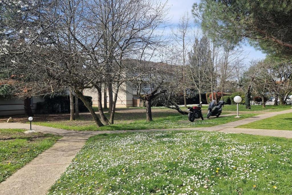 Joli T2 Vue Sur Le Jardin Proche De Toulouse Appartement Launaguet