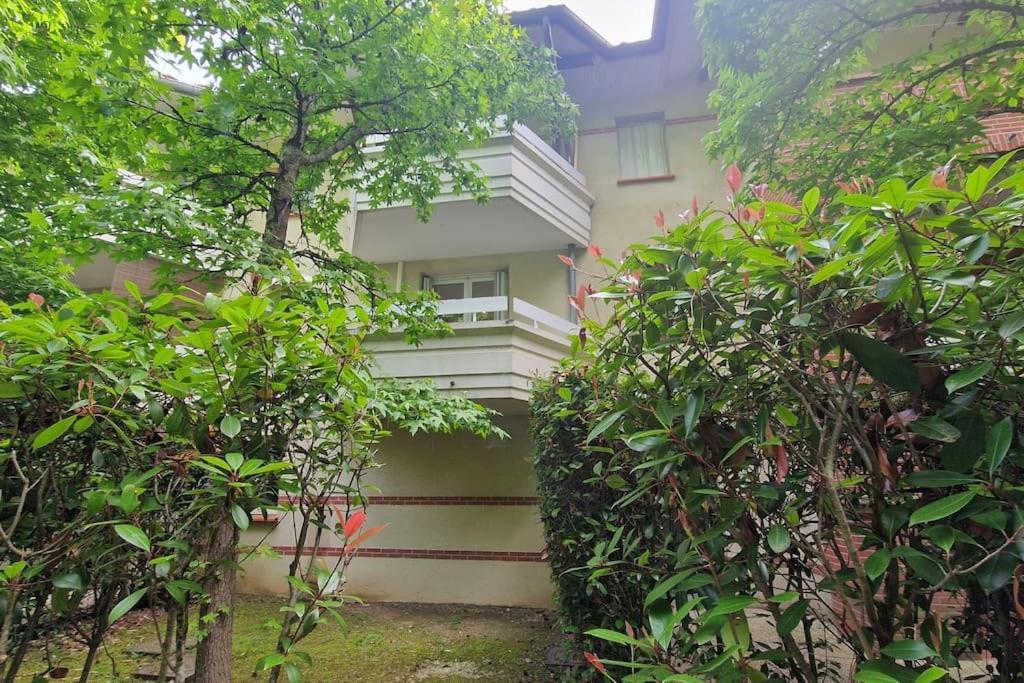 Joli T2 Vue Sur Le Jardin Proche De Toulouse Appartement