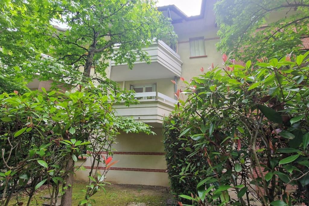 Joli T2 Vue Sur Le Jardin Proche De Toulouse Appartement Launaguet